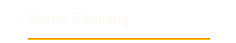 Home Cleaning